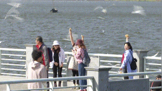 昆明市西山区发布