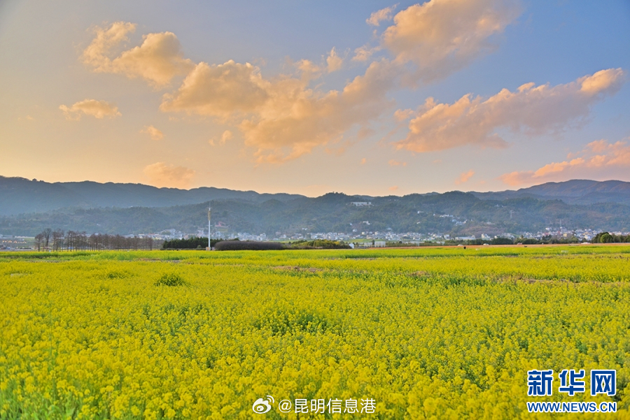 昆明信息港微博