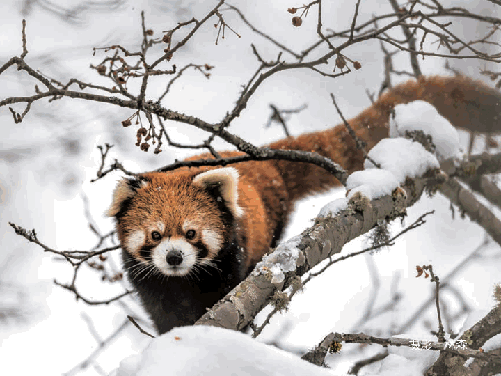 滇池旅游度假区