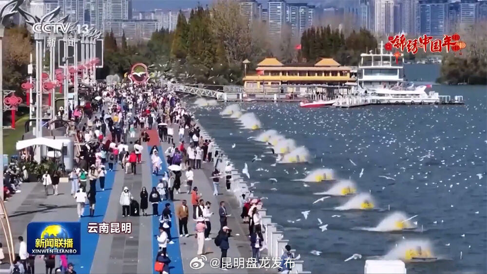 昆明盘龙发布