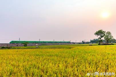 中老铁路累计发送旅客超2889万人次，运输货物超3305万吨