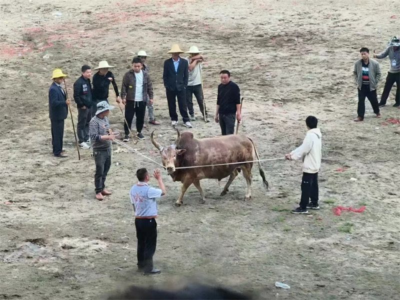 有一种叫云南的生活｜假期结束！您与屏边的故事还将继续……_http://www.mainten.cn__第2张