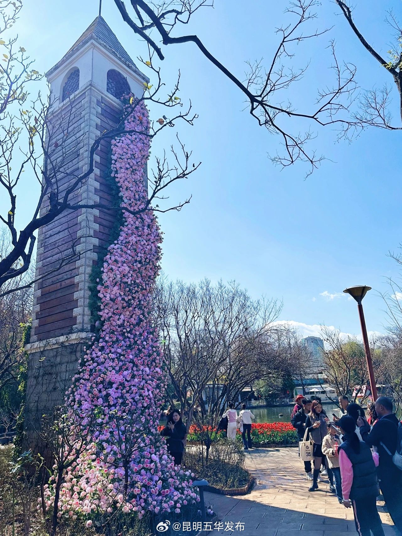 昆明五华发布