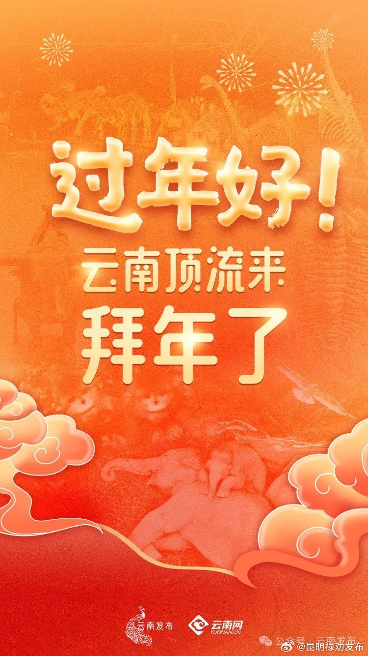 过年好！云南顶流来拜年了