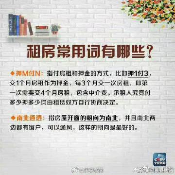 嵩明发布