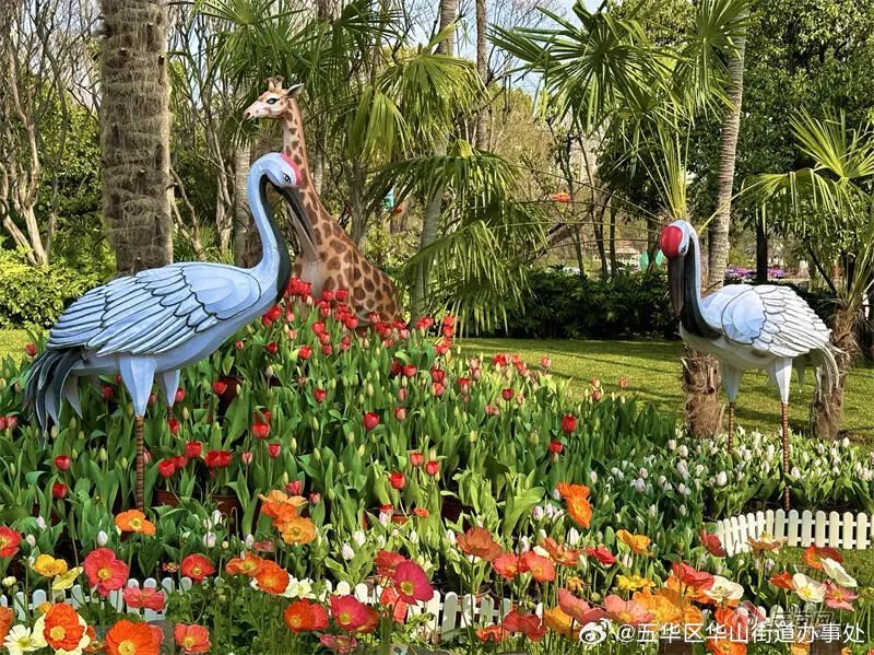 五华区华山街道办事处