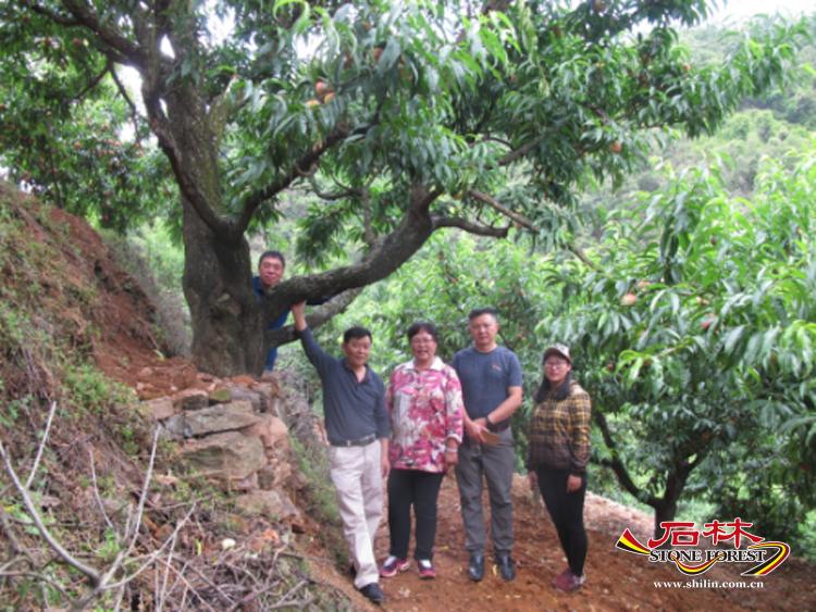 石林旅游网