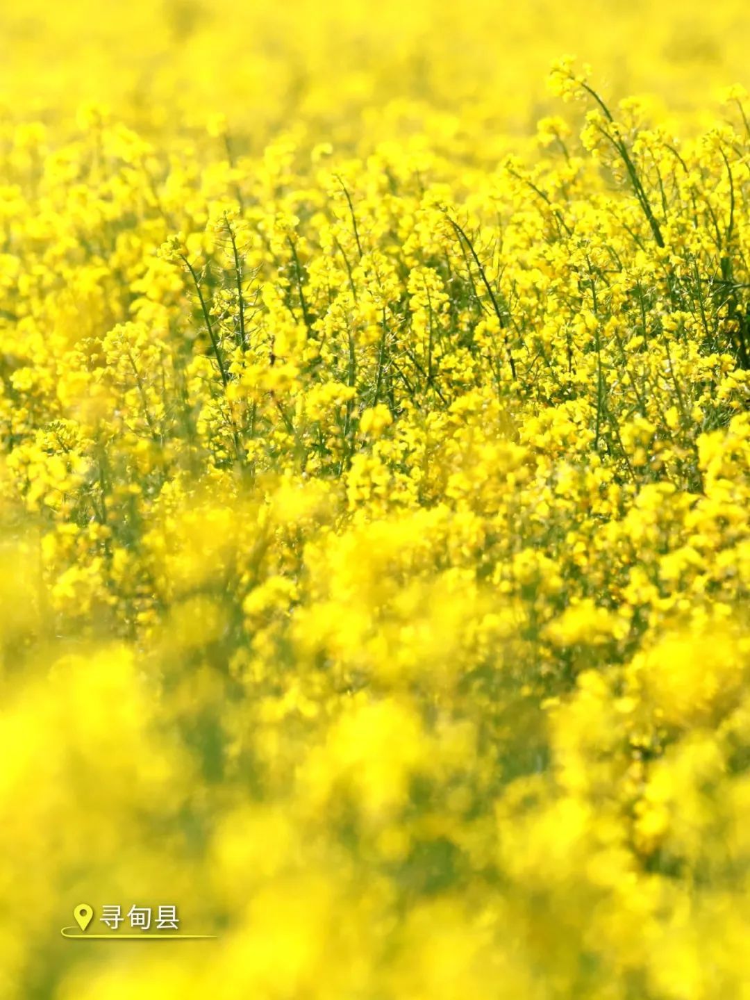 云南省文化和旅游厅