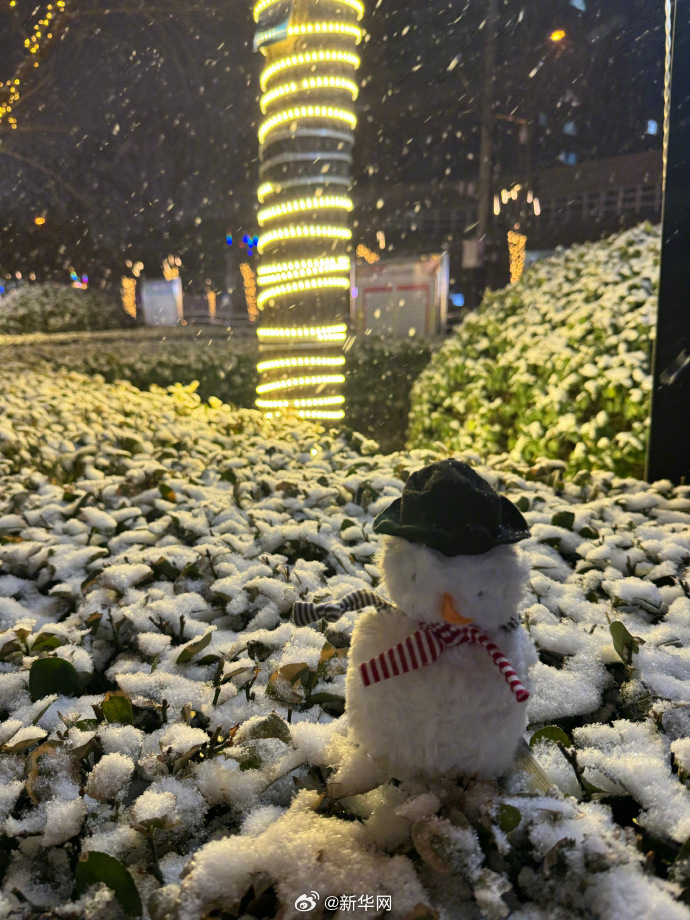 北京龙年首场降雪太美了_http://www.mainten.cn_ycb_第5张