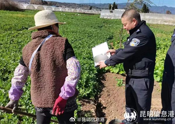 昆明信息港微博