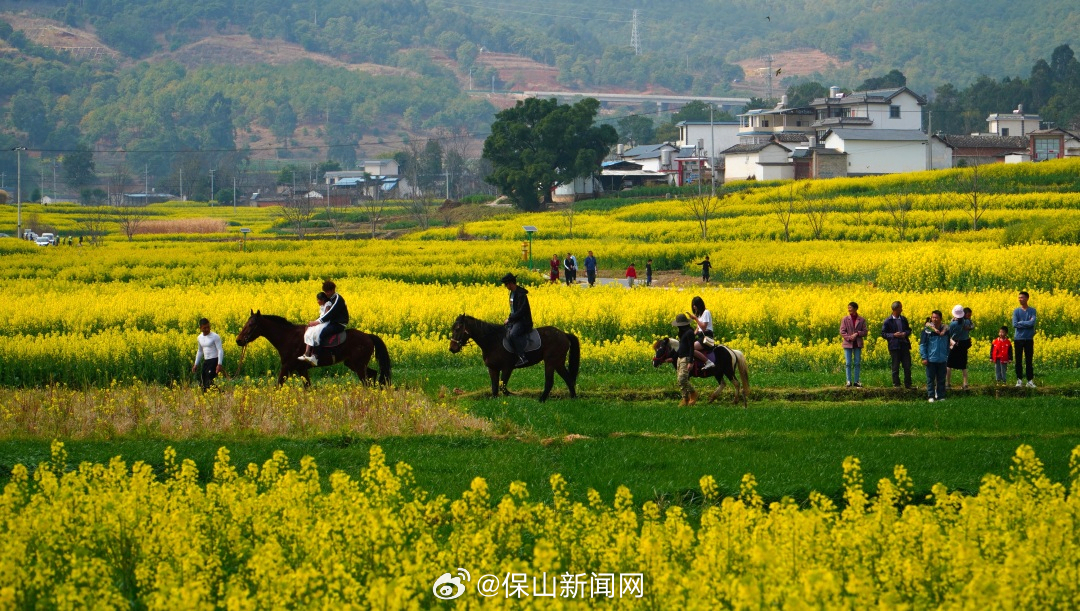 保山新闻网