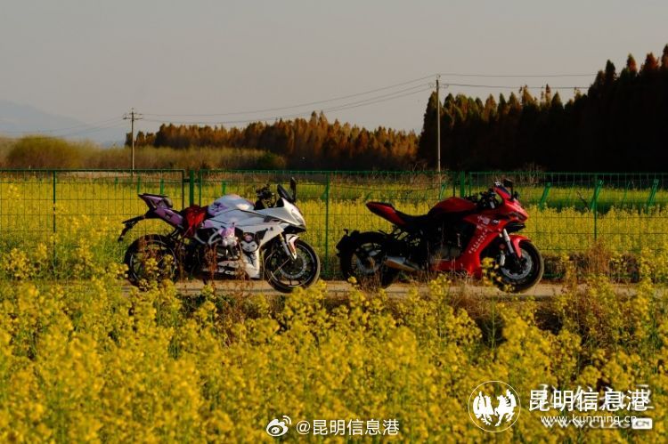 昆明信息港微博