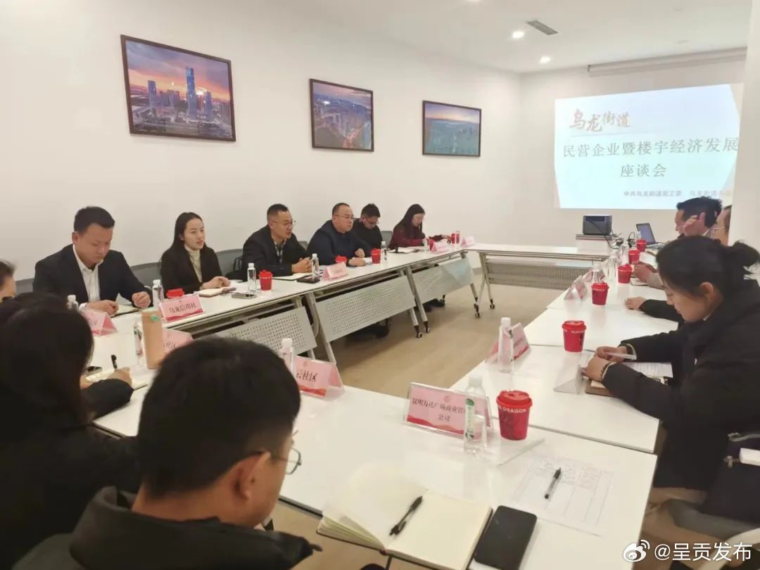 乌龙街道召开民营企业暨楼宇经济发展座谈会