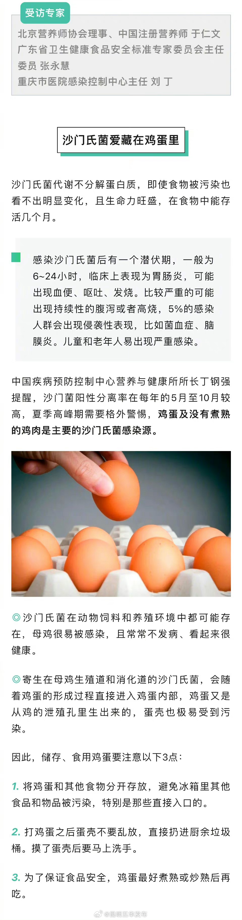 沙门氏菌爱藏在鸡蛋里_http://www.mainten.cn_ycb_第1张