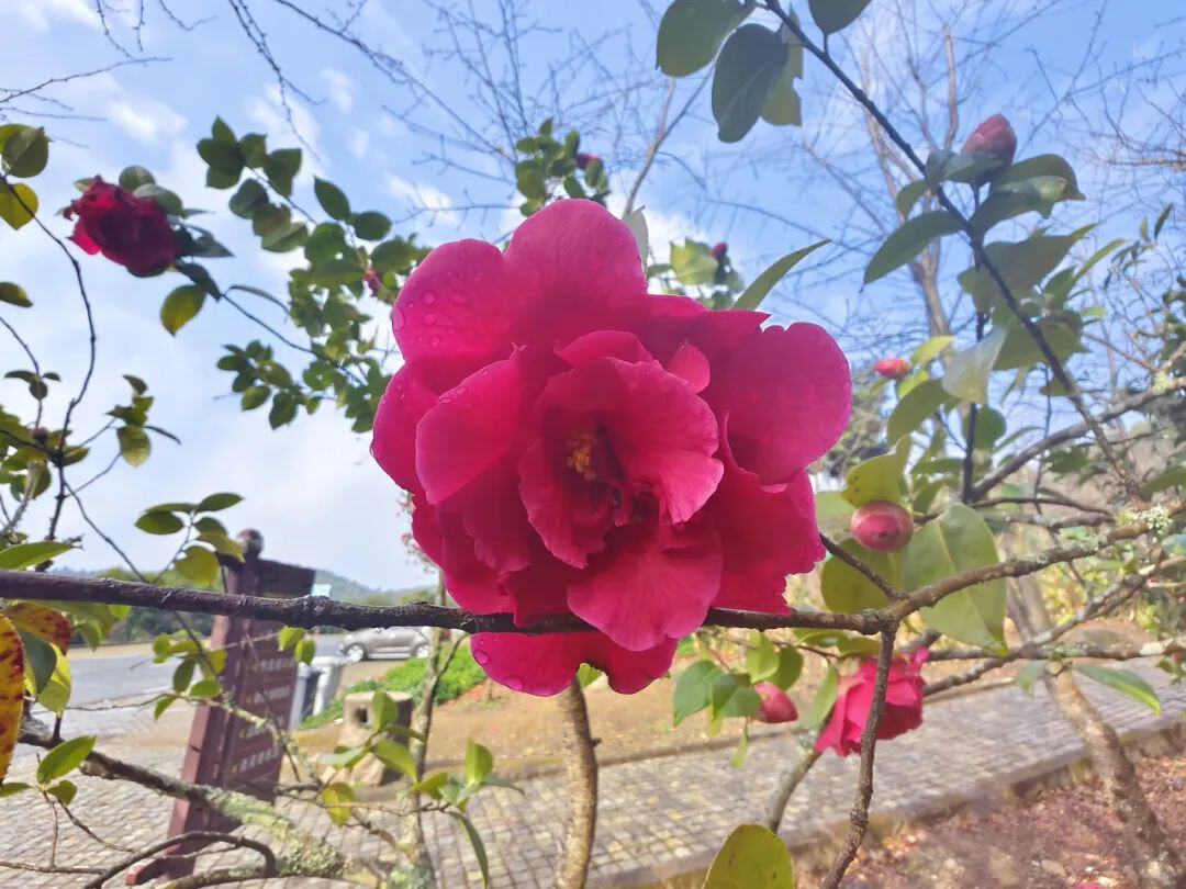 云南省文化和旅游厅