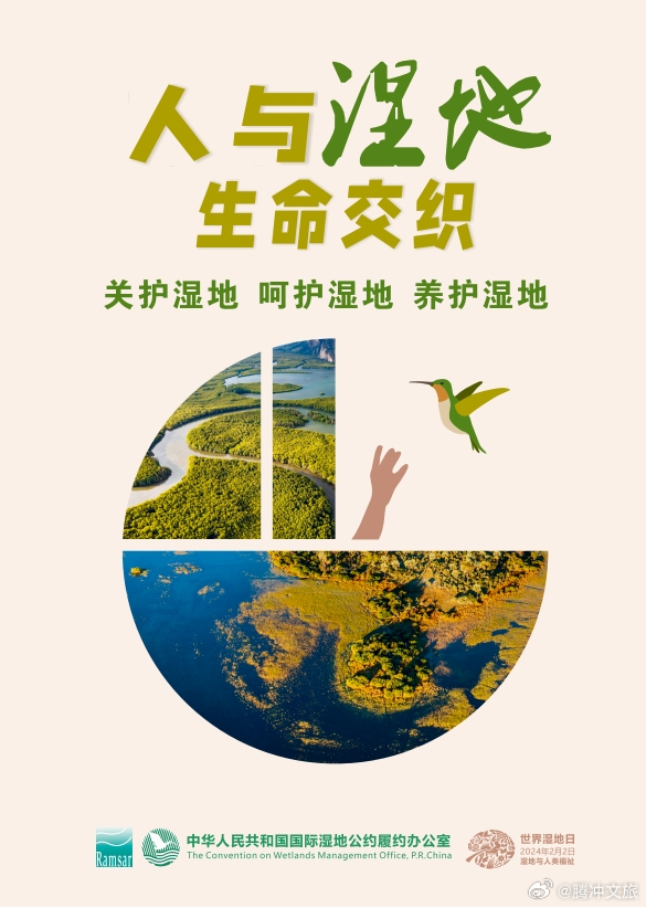 世界湿地日丨北海湿地：守护“湿”与远方_http://www.mainten.cn_ycb_第1张
