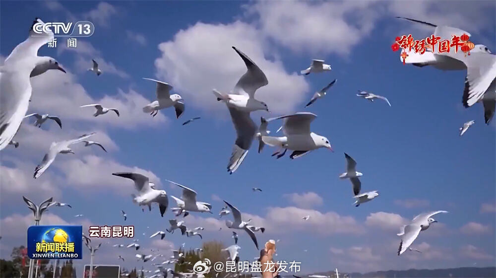 昆明盘龙发布