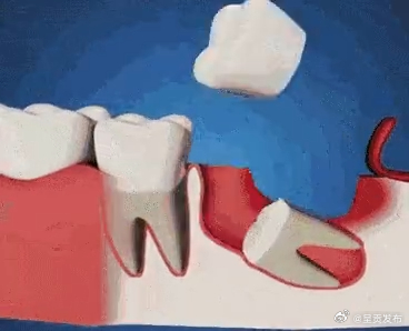 呈贡发布