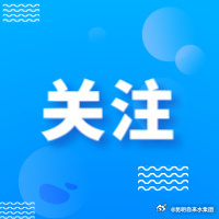 年夜饭不可或缺的昆明味道