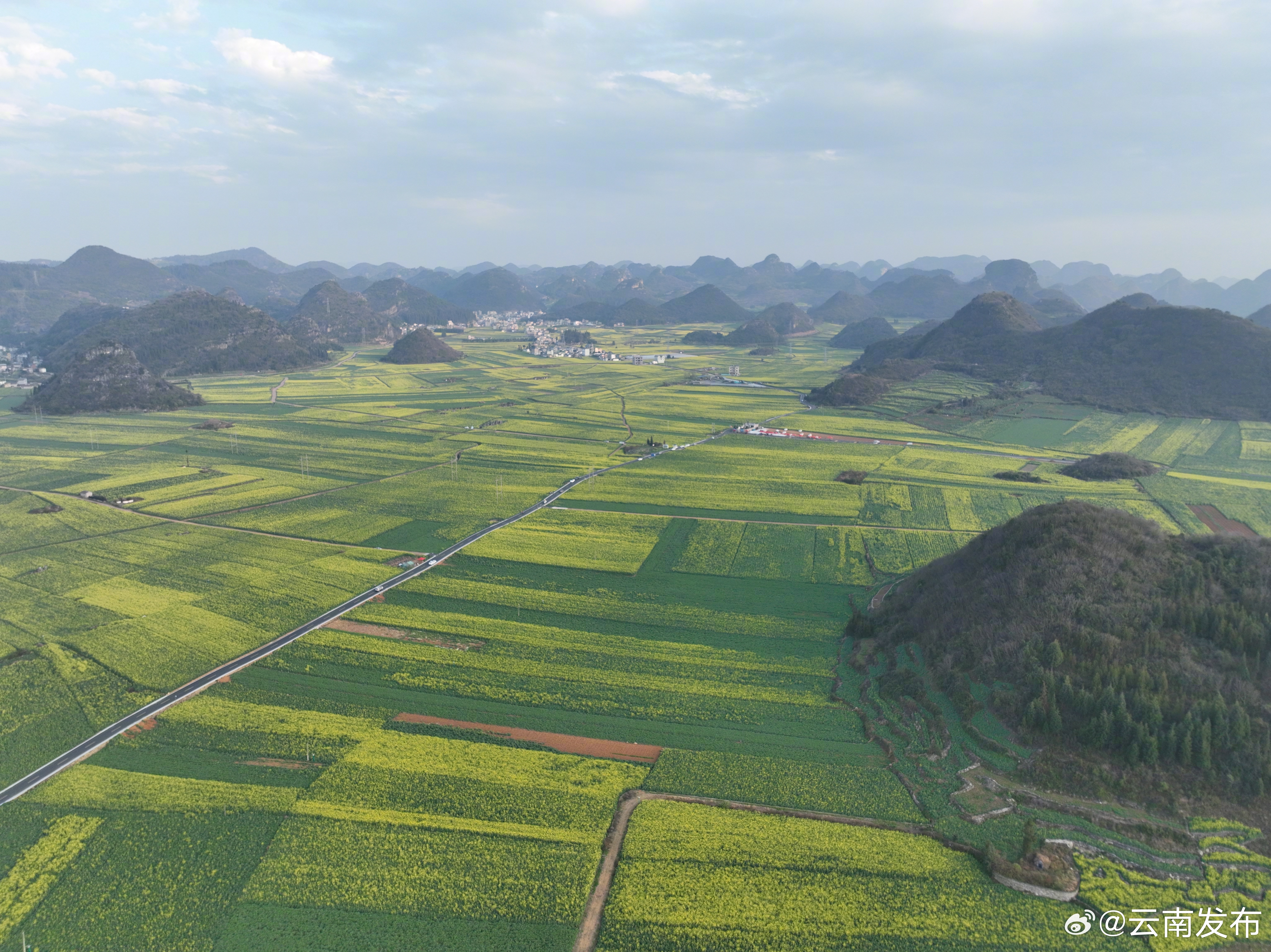 曲靖罗平：新春旅游旺 万人赏花田_http://www.mainten.cn_ycb_第6张