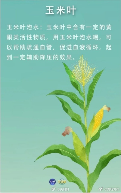 嵩明发布