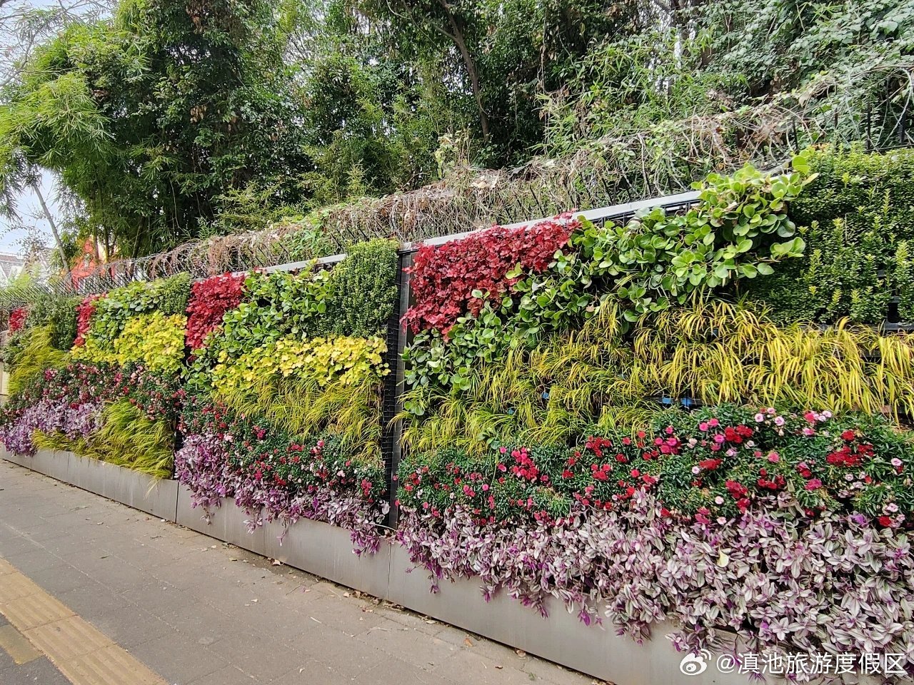 滇池旅游度假区