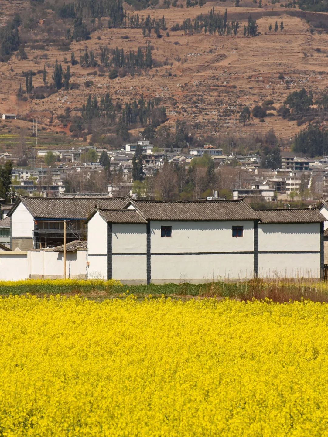 云南省文化和旅游厅