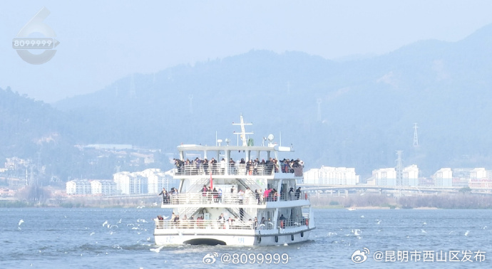 昆明市西山区发布