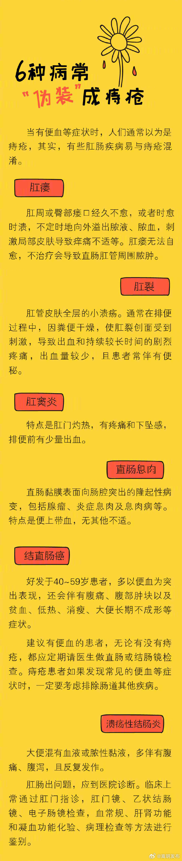 嵩明发布