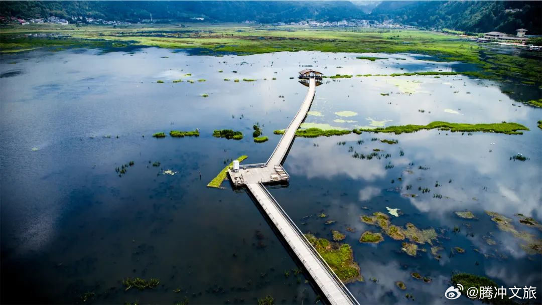 北海湿地——候鸟与鸢尾兰的聚集地_http://www.mainten.cn_ycb_第1张