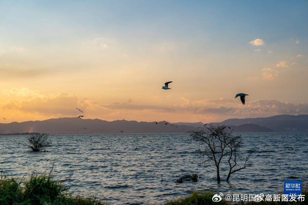 昆明国家高新区发布