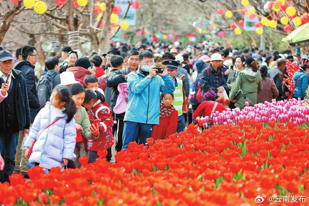 春节假期，云南持续推出30个系列1700余项文化活动