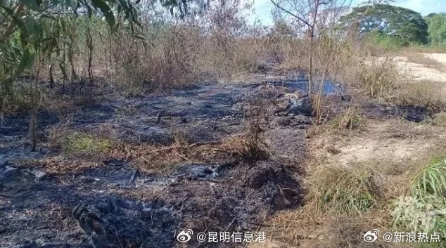 昆明信息港微博