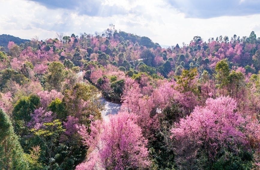 云南省文化和旅游厅
