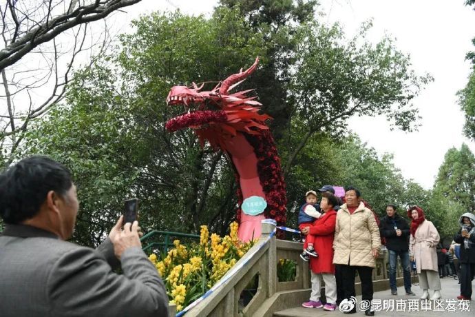 昆明市西山区发布