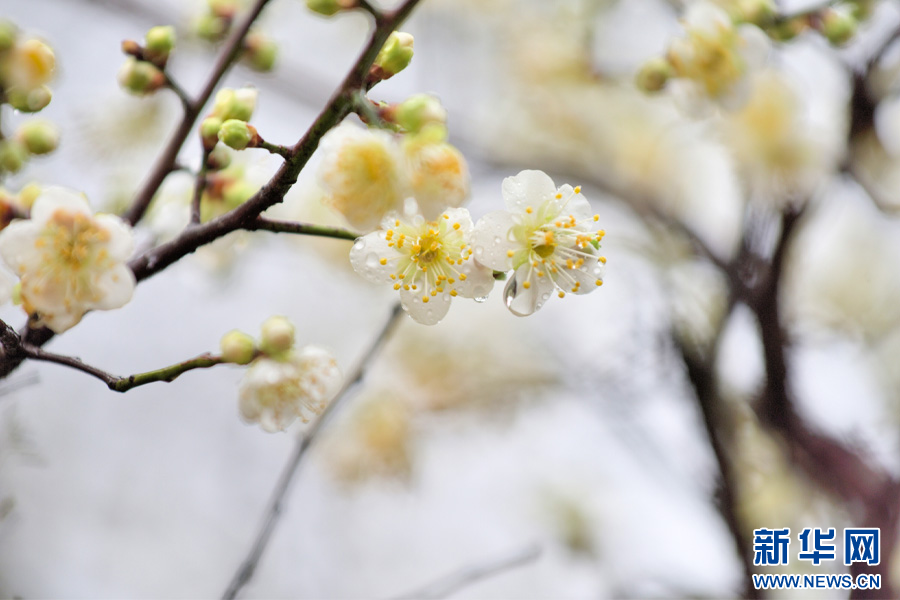 云南省文化和旅游厅