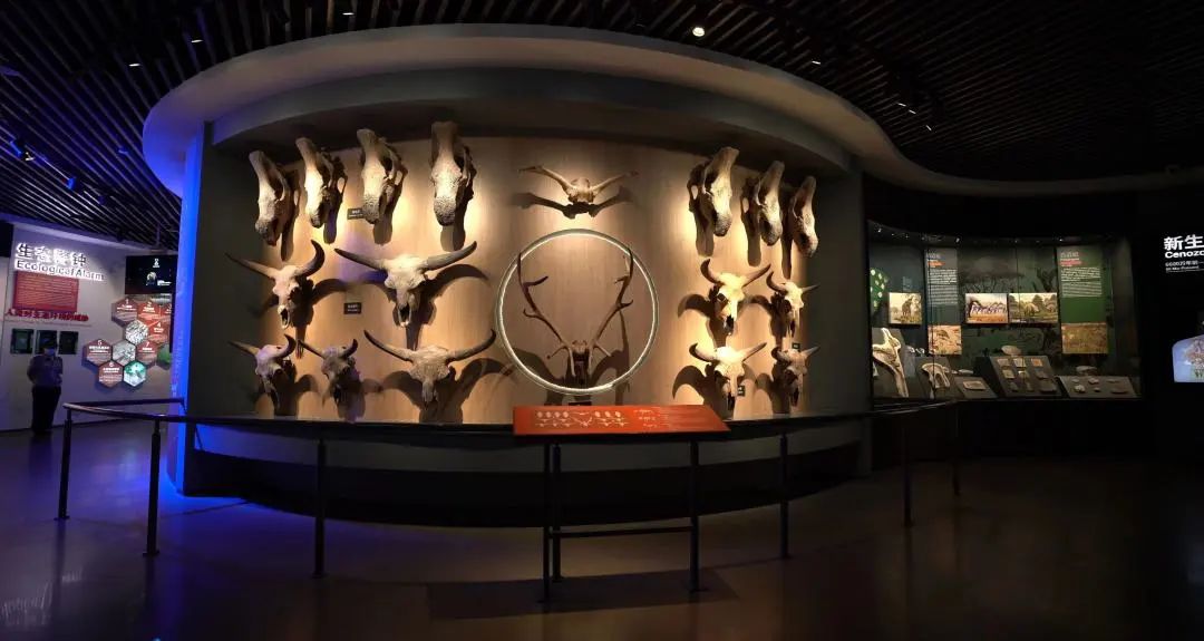 云南省文化和旅游厅