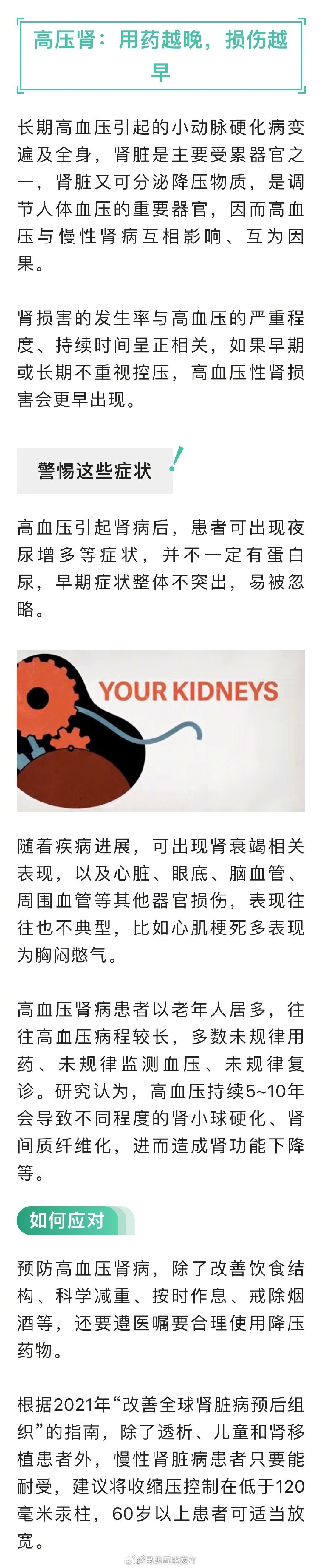注意！4种会悄悄走肾的疾病_http://www.mainten.cn_ycb_第2张