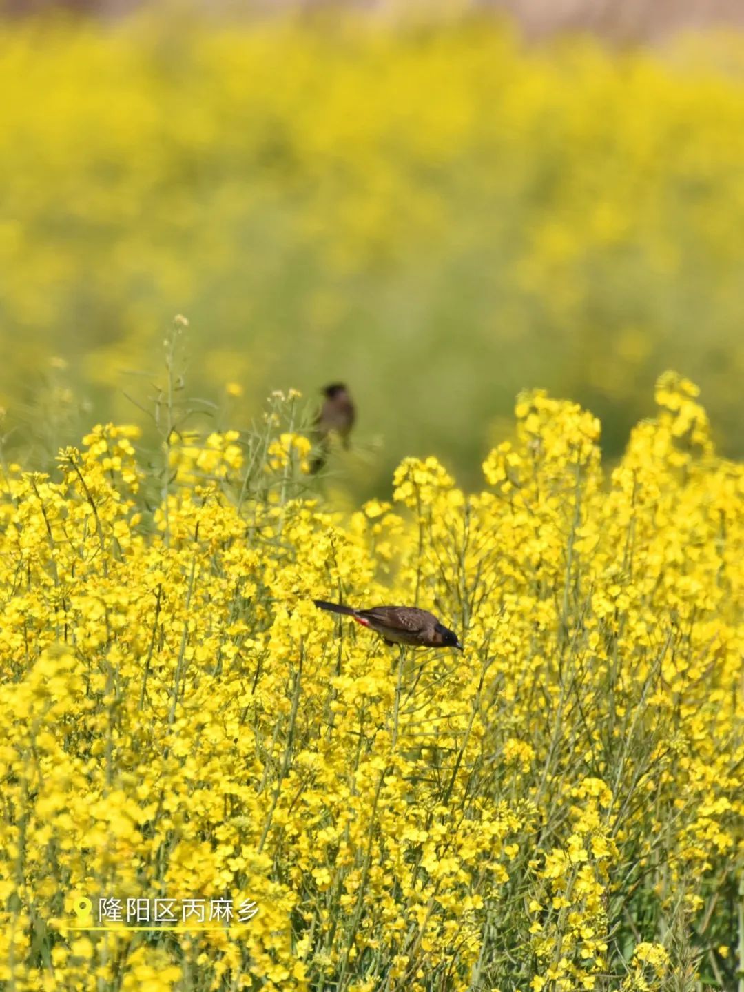 云南省文化和旅游厅