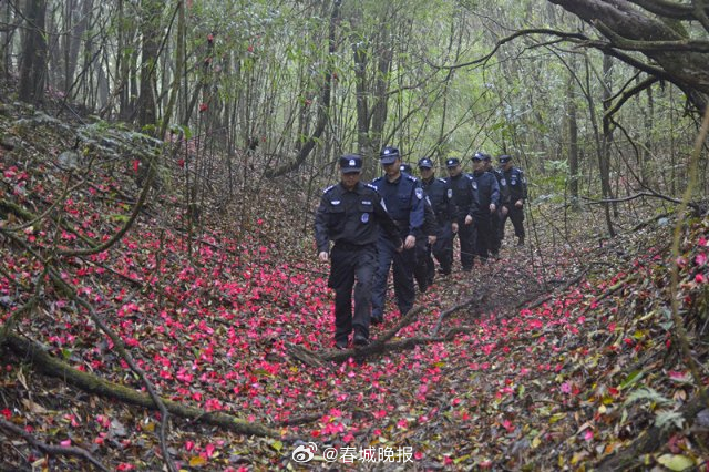 10年“零发案”！高黎贡山下有一支护卫生物生态安全的“铁军”