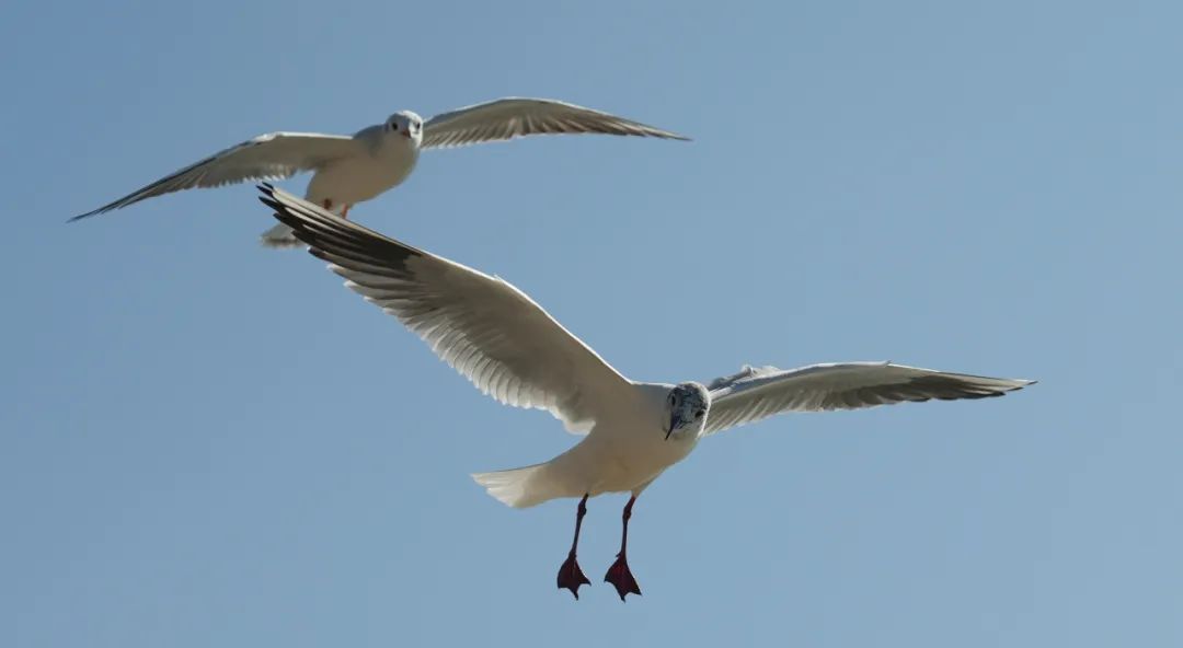 晋宁诗意的栖居地