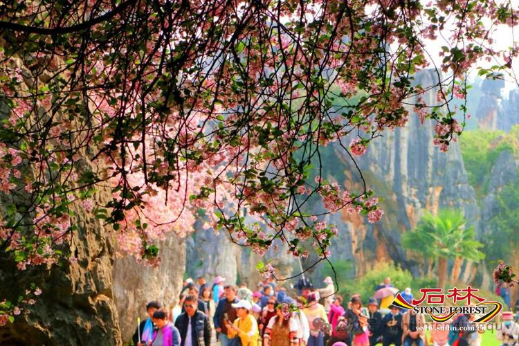 石林旅游网