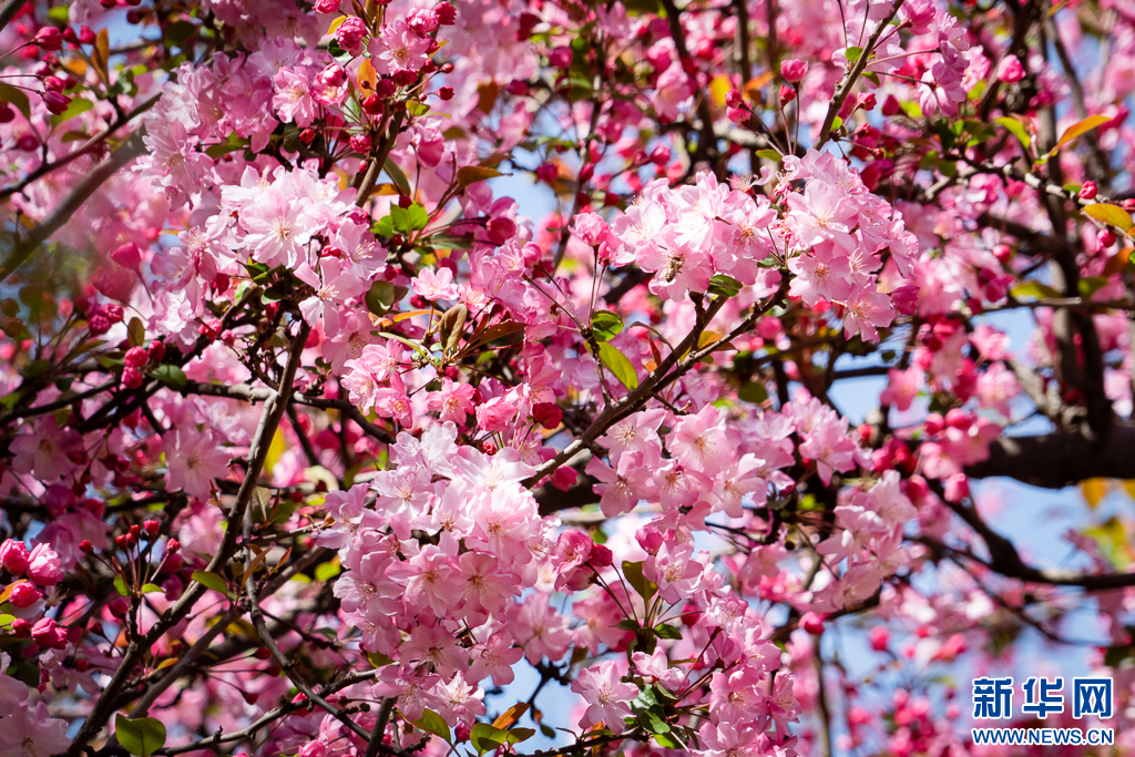 云南省文化和旅游厅
