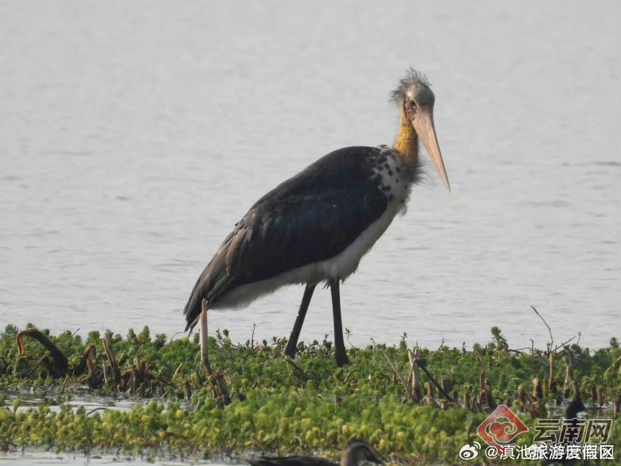 滇池旅游度假区