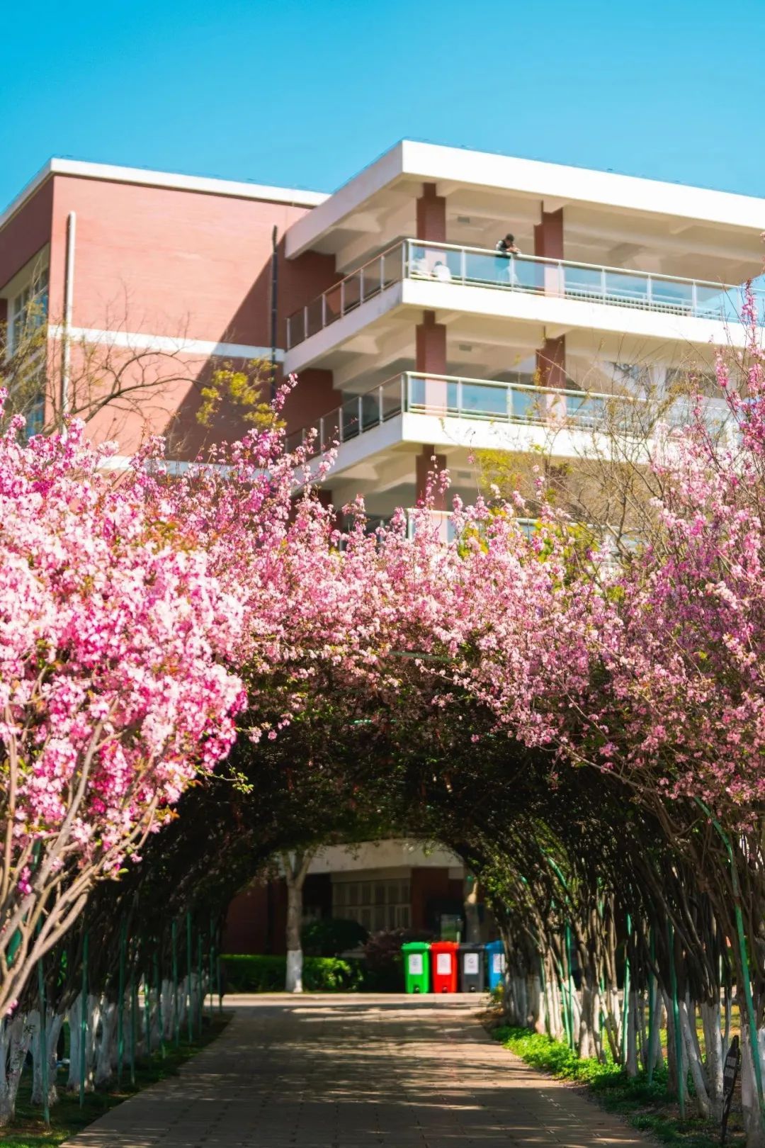 云南省文化和旅游厅