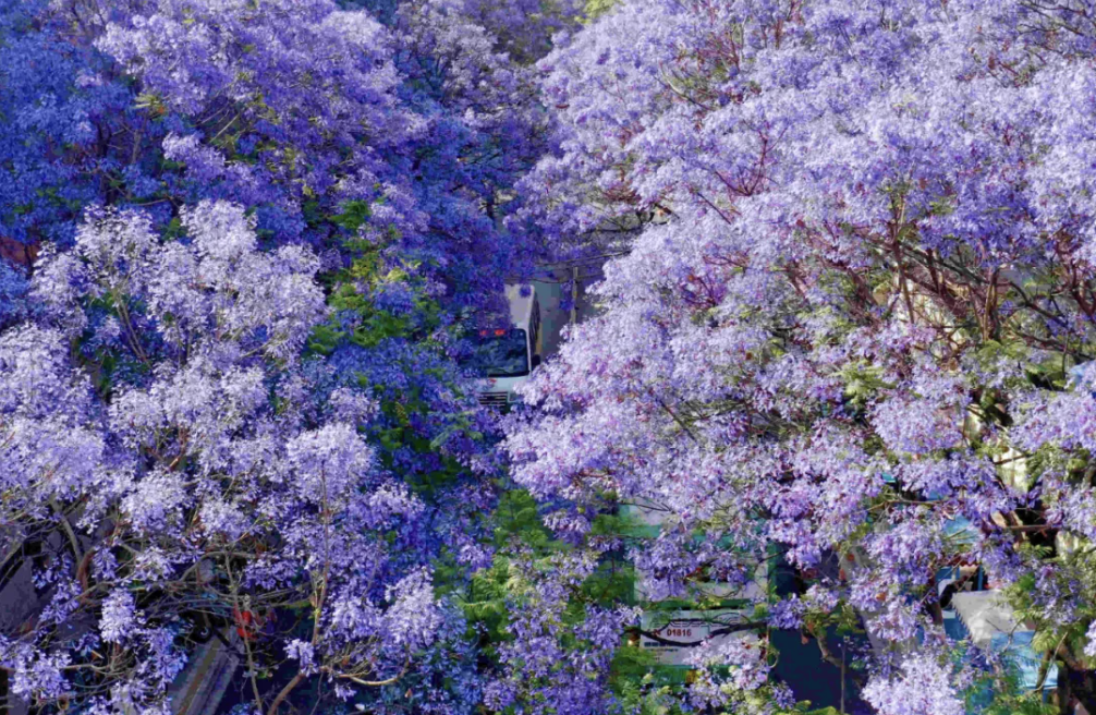 云南省文化和旅游厅