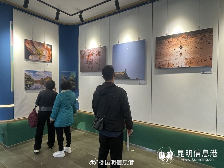 昆明信息港微博