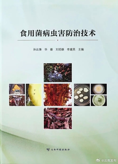 云南首部系统性食用菌病虫害研究专著出版