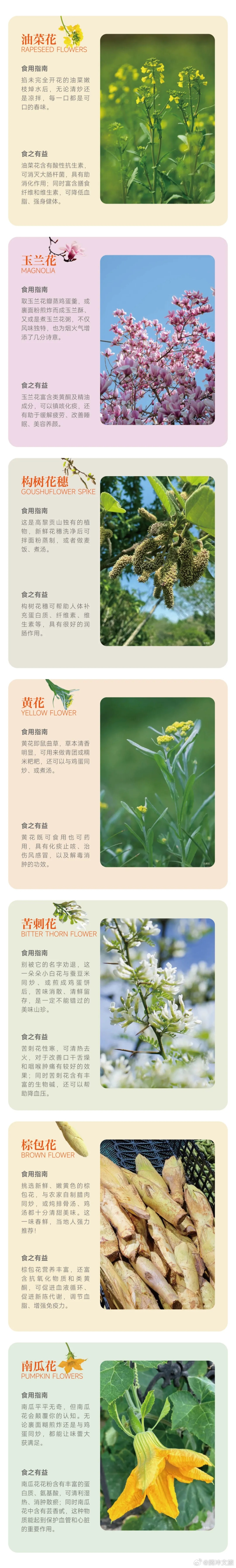 腾冲——花花的美食盛宴