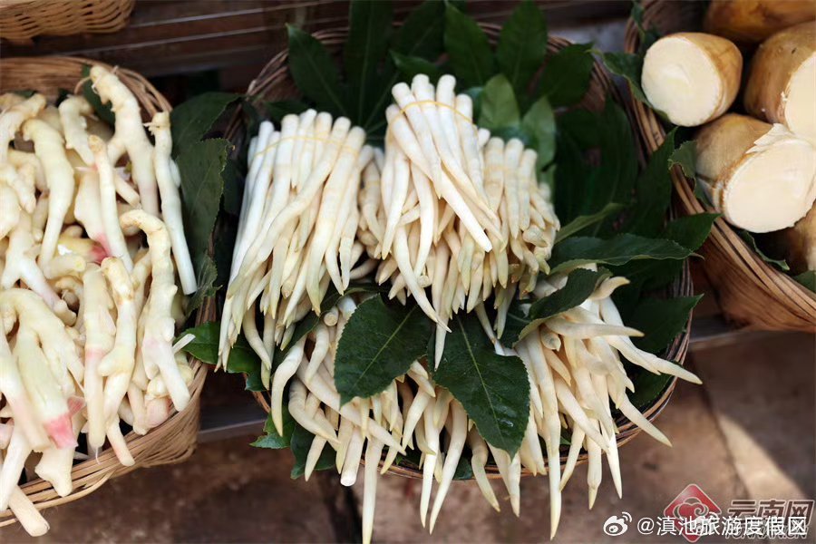 滇池旅游度假区